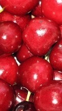 Frutas,Cerejas,Comida,Fundo para Samsung E1232