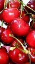 Baixar a imagem para celular Frutas,Cerejas,Comida,Berries grátis.