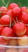 Baixar a imagem para celular Frutas,Cerejas,Comida,Berries grátis.