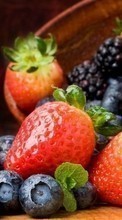 Frutas,Comida,Morango,Mirtilos,Berries para LG L70 D325