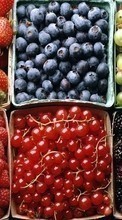 Baixar a imagem 128x160 para celular Frutas,Comida,Fundo,Berries grátis.
