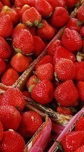 Frutas,Comida,Morango,Fundo para HTC Desire 600