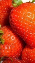 Baixar a imagem para celular Frutas,Comida,Morango,Berries grátis.