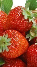 Baixar a imagem para celular Frutas,Comida,Morango,Berries grátis.