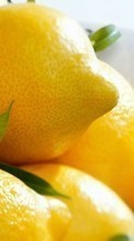 Baixar a imagem 800x480 para celular Frutas,Comida,Limões grátis.