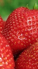 Comida,Morango,Berries para Samsung Galaxy A5