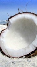 Baixar a imagem para celular Comida,Coconuts grátis.