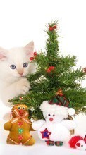 Férias,Animais,Gatos,Ano Novo,Brinquedos,Figueiras,Natal para LG GS190