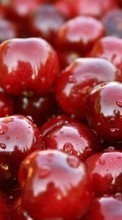Frutas,Cerejas,Fundo,Berries para Lenovo Vibe X3