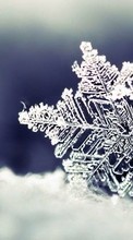 Inverno,Fundo,Flocos de neve para Fly ERA Energy 3 IQ4417