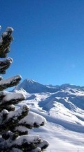 Montanhas,Paisagem,Pinho,Inverno para Nokia Lumia 530