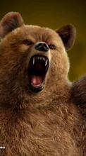 Baixar a imagem para celular Jogos,Bears,Tekken grátis.