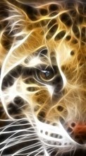 Baixar a imagem 320x480 para celular Animais,Leopards grátis.