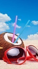 Baixar a imagem para celular Coconuts,Paisagem,Praia,Verão,Bebidas grátis.