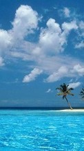 Paisagem,Mar,Nuvens,Praia,Palms para Sony Xperia Z4 Tablet