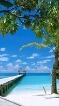 Areia,Palms,Paisagem,Mar,Praia para Samsung Galaxy Star 2