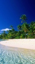 Paisagem,Mar,Praia,Palms para Asus ZenPad C 7.0 Z170CG