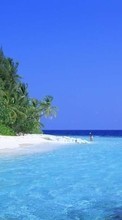 Paisagem,Água,Mar,Praia,Palms para HTC Desire 601