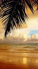 Baixar a imagem para celular Paisagem,Pôr do sol,Mar,Praia,Palms grátis.