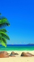 Paisagem,Mar,Praia,Palms para LG Optimus L9 P765