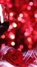 Bebidas,Férias,Vinho para Sony Xperia C5 Ultra
