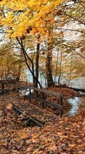 Baixar a imagem para celular Outono,Paisagem,Natureza grátis.