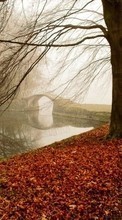 Outono,Paisagem,Natureza para Nokia E5