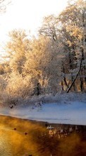 Baixar a imagem para celular Paisagem,Natureza,Neve,Inverno grátis.