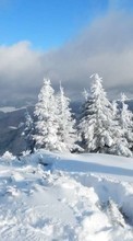 Paisagem,Natureza,Neve,Inverno para Sony Ericsson W395