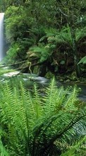 Paisagem,Natureza,Cachoeiras