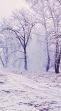 Baixar a imagem para celular Paisagem,Natureza,Inverno grátis.