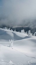 Baixar a imagem 240x320 para celular Paisagem,Inverno,Neve grátis.