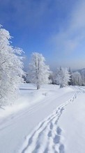 Baixar a imagem para celular Paisagem,Neve,Inverno grátis.