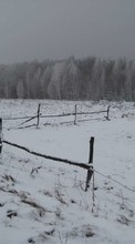 Baixar a imagem 240x320 para celular Paisagem,Inverno,Neve grátis.