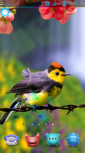 Pássaros 3D  - baixar grátis papel de parede animado Animais para Android.