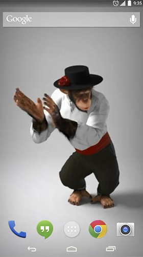 Macaco legal  - baixar grátis papel de parede animado Animais para Android.