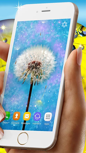 Dentes-de-leão  - baixar grátis papel de parede animado Flores para Android.