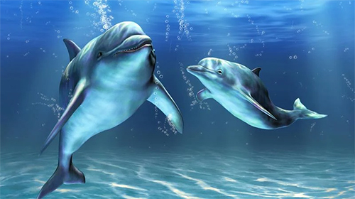 Golfinhos 3D  - baixar grátis papel de parede animado Aquários para Android.