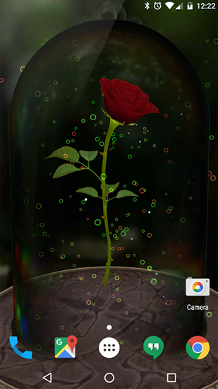 Baixar grátis o papel de parede animado Rosa encantada  para celulares e tablets Android.