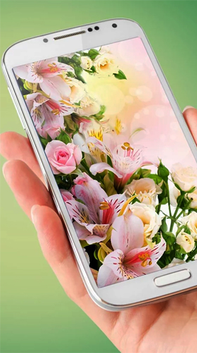 Flores  - baixar grátis papel de parede animado Flores para Android.