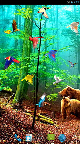 Aves da floresta  - baixar grátis papel de parede animado Plantas para Android.