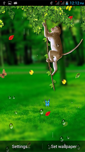 Macaco engraçado  - baixar grátis papel de parede animado Animais para Android.
