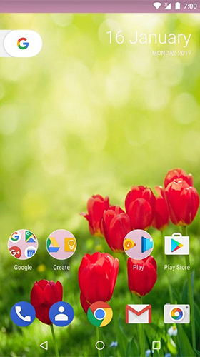 Jardim HD  - baixar grátis papel de parede animado Flores para Android.