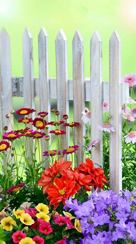 Jardim mágico  - baixar grátis papel de parede animado Flores para Android.