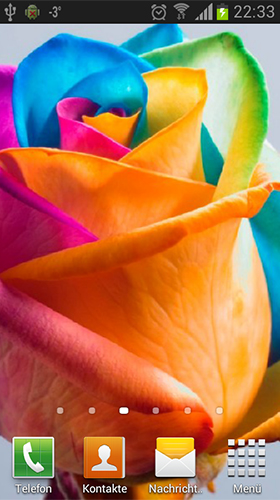 Rosas do arco-íris  - baixar grátis papel de parede animado Flores para Android.