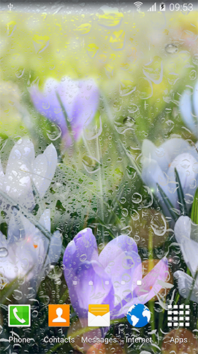 Flores chuvosas  - baixar grátis papel de parede animado Flores para Android.