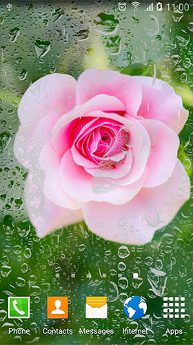 Rosas  - baixar grátis papel de parede animado Flores para Android.
