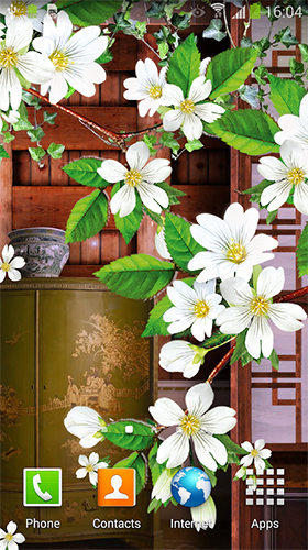 Sakura  - baixar grátis papel de parede animado Flores para Android.