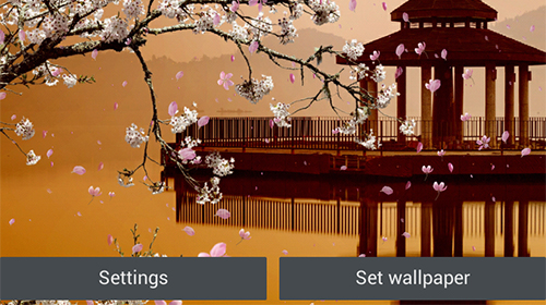 Jardim de sakura  - baixar grátis papel de parede animado Plantas para Android.