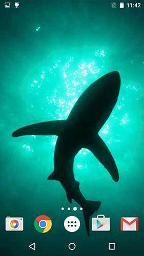 Tubarões  - baixar grátis papel de parede animado Animais para Android.